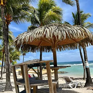 https://studio-avec-vue-mer-dans-la-residence-manganao.comcaribbean.com